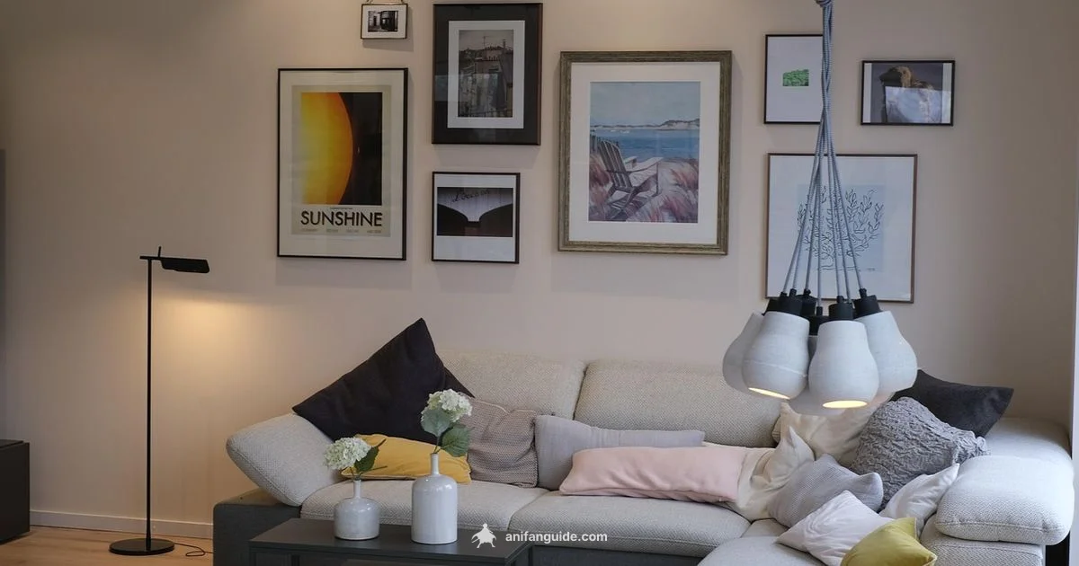 Hunter x Hunter 2011 Guide - AniFanGuide