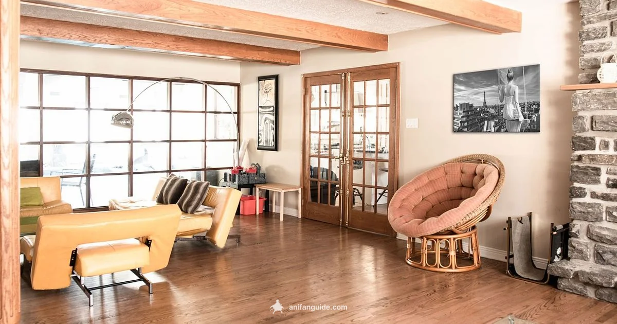 West Anime Emergence - AniFanGuide