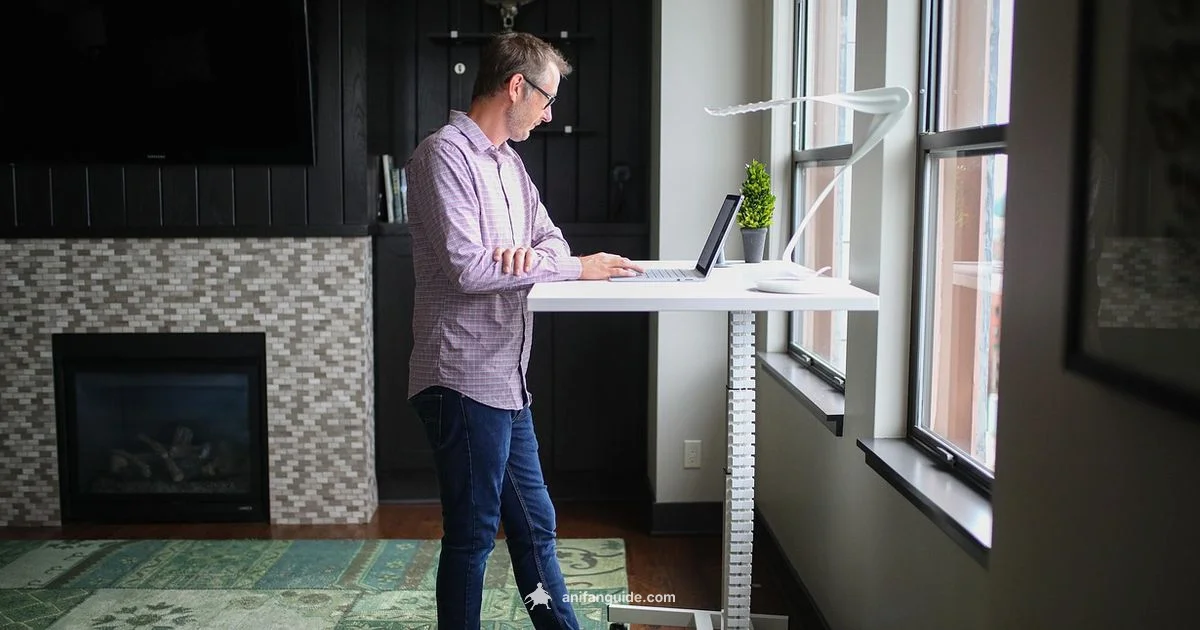 Long Titles in Anime Long Titles in Anime - AniFanGuide