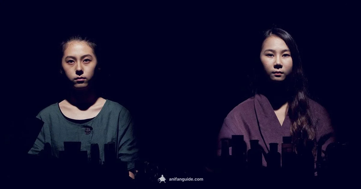 Meta Moments - AniFanGuide