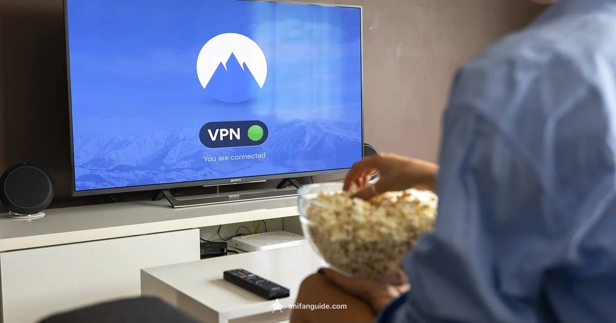 Streaming Safety - AniFanGuide