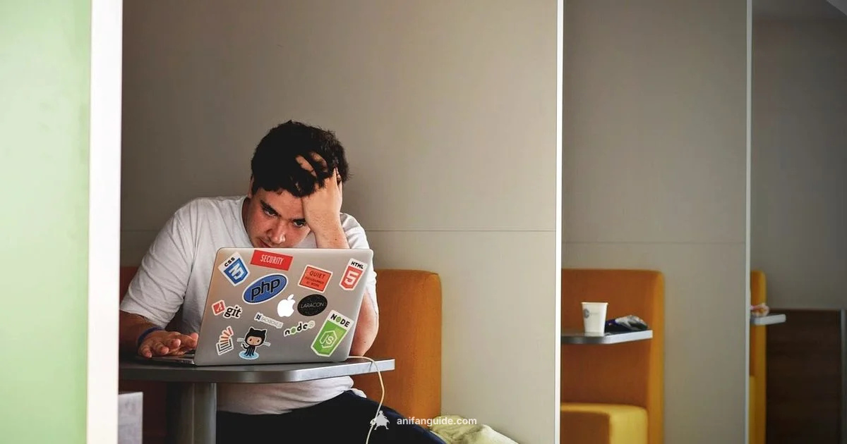 Legal Anime Reality - AniFanGuide