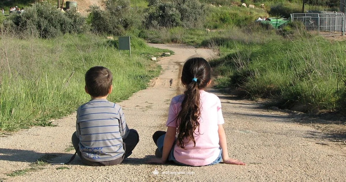 Best Anime Guide - AniFanGuide