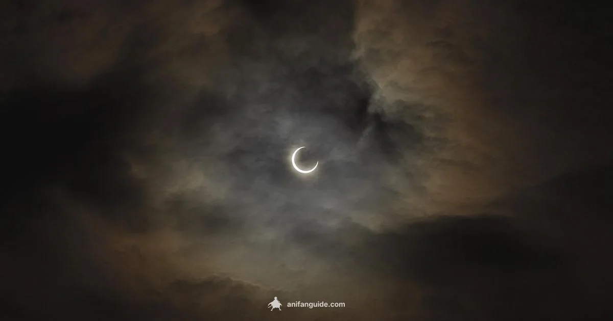 2012 Anime Highlights - AniFanGuide