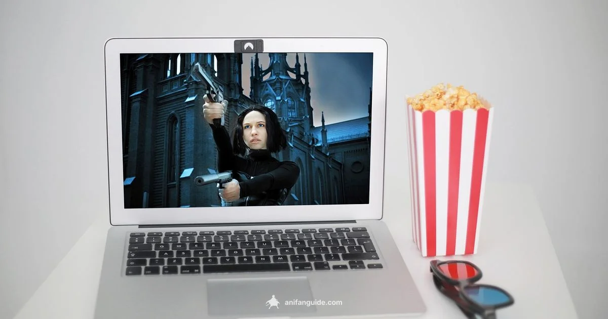 Netflix Anime Library - AniFanGuide